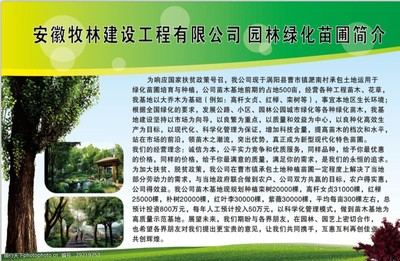 匠心苗圃 綠動(dòng)未來(lái)——園林綠化苗圃培育與銷售簡(jiǎn)介